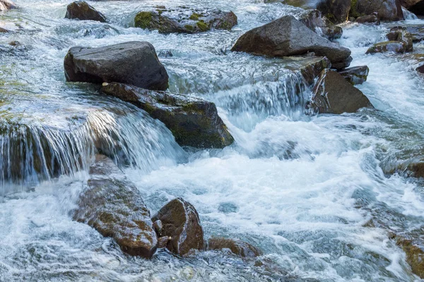 Вид Реку Поток Природном Парке Паневеджо Пале Сан Мартино Тонадико — стоковое фото