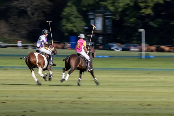 Midhurst West Sussex September Playing Polo Midhurst West Sussex September — Stock Photo, Image