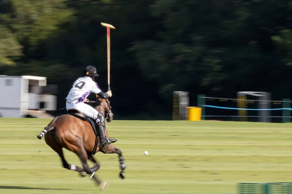 Midhurst West Sussex September Playing Polo Midhurst West Sussex September — 图库照片