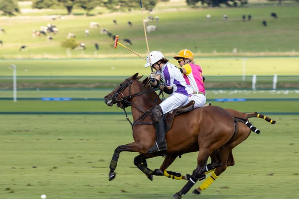 Midhurst West Sussex Setembro Jogando Pólo Midhurst West Sussex Setembro — Fotografia de Stock