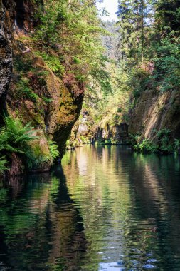 Nehir gorges kayalar ve Çek Cumhuriyeti'nde bu boyunca ağaçlar