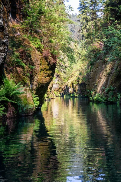 Floden Raviner Med Stenar Och Träd Längs Det Tjeckien — Stockfoto