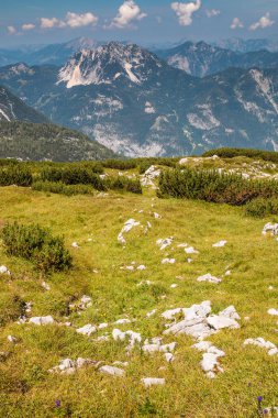 Yaz Alpleri'nde tepede