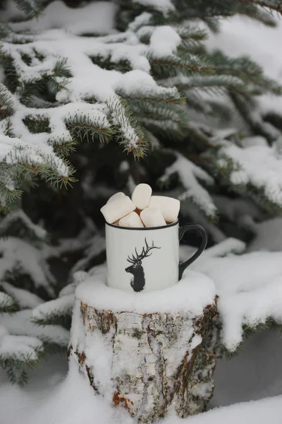 Bere Con Marshmallow Inverno Sotto Albero — Foto Stock