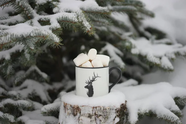 Trinken Mit Marshmallows Winter Unter Dem Baum — Stockfoto