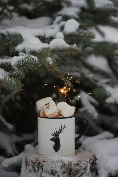Trinken Mit Marshmallows Winter Unter Dem Baum — Stockfoto