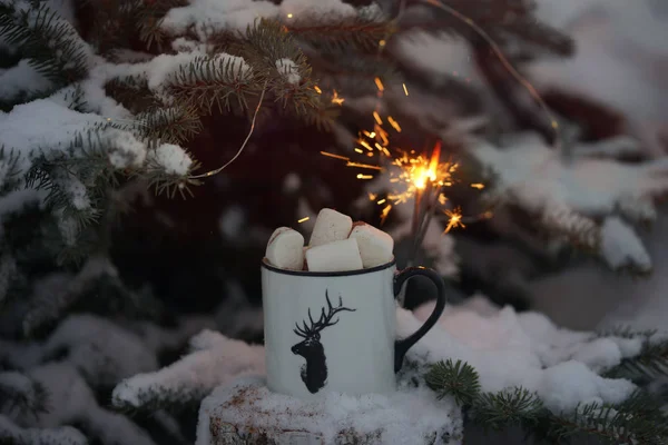 Boire Avec Des Guimauves Hiver Sous Arbre — Photo