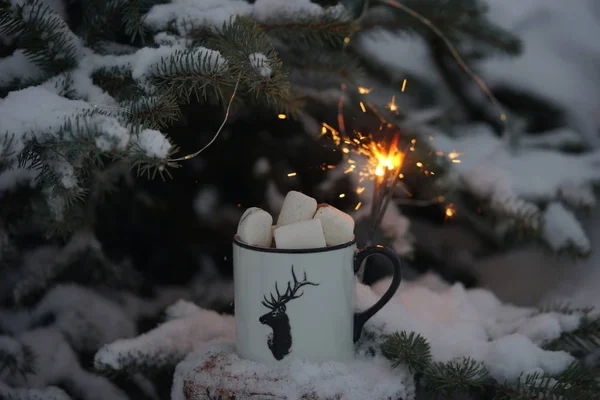 Trinken Mit Marshmallows Winter Unter Dem Baum — Stockfoto