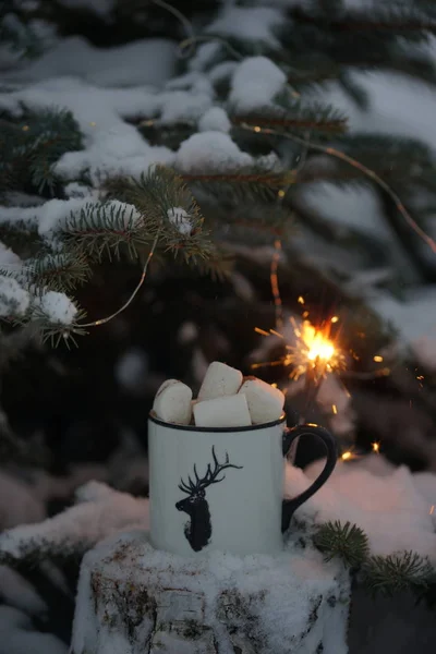 Trinken Mit Marshmallows Winter Unter Dem Baum — Stockfoto