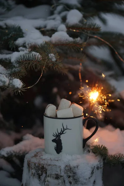 Trinken Mit Marshmallows Winter Unter Dem Baum — Stockfoto