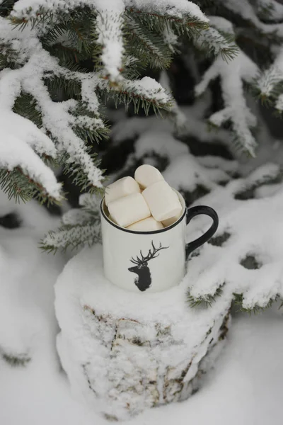 Trinken Mit Marshmallows Winter Unter Dem Baum — Stockfoto