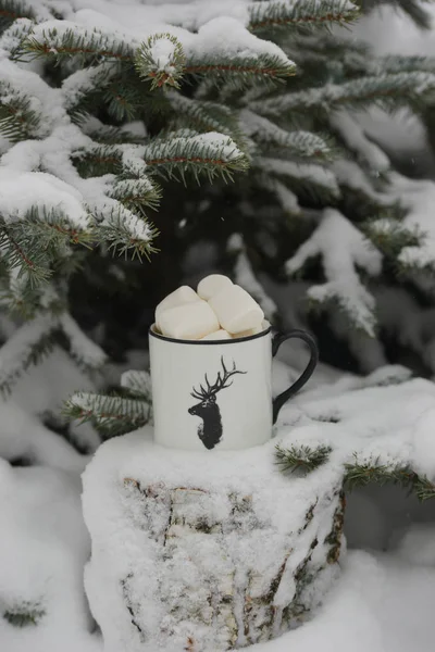 Bere Con Marshmallow Inverno Sotto Albero — Foto Stock