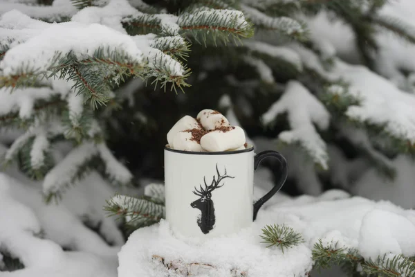 Boire Avec Des Guimauves Hiver Sous Arbre — Photo