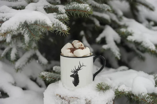 Boire Avec Des Guimauves Hiver Sous Arbre — Photo