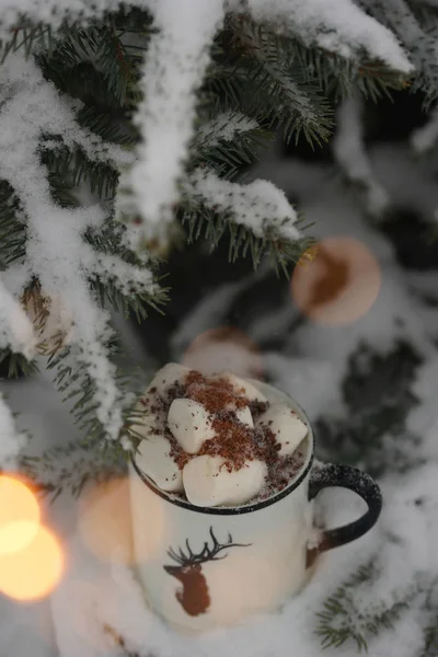 Bere Con Marshmallow Inverno Sotto Albero — Foto Stock