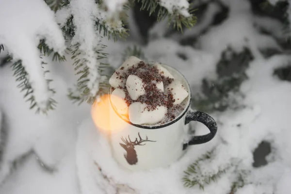 Boire Avec Des Guimauves Hiver Sous Arbre — Photo