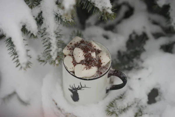 Пейте Зефиром Зимой Деревом — стоковое фото