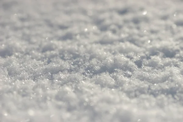 白色的雪关闭 — 图库照片