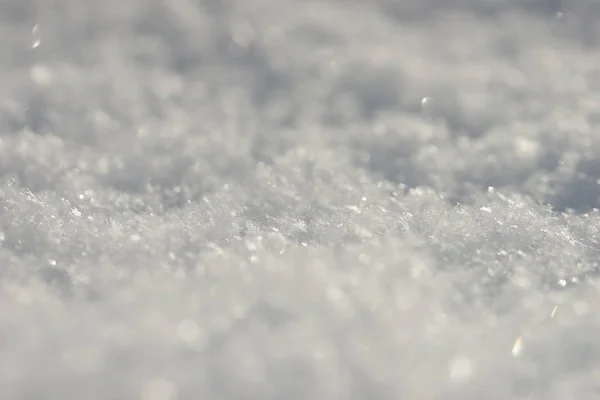 Weißer Schnee Aus Nächster Nähe — Stockfoto