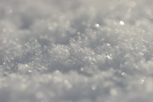 Weißer Schnee Aus Nächster Nähe — Stockfoto