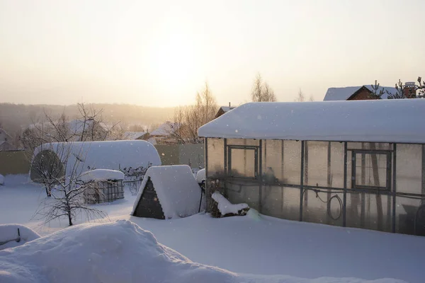 Kış bahçesinde. Kar yağışı ve güneş.