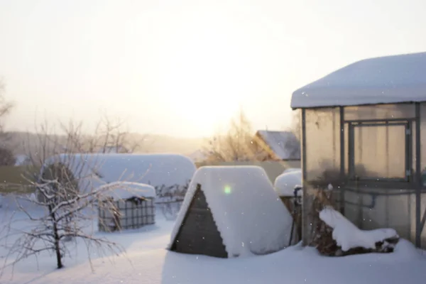 Giardino Inverno Nevicate Sole — Foto Stock