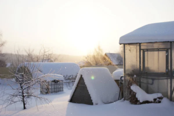 Garden Winter Snowfall Sun — Stock Photo, Image