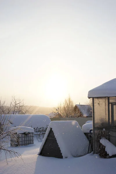 Giardino Inverno Nevicate Sole — Foto Stock