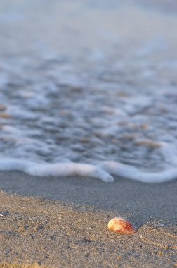 Gün batımında denizde dalgalar