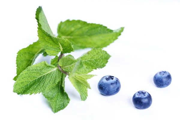 Sprigs Mint Blueberries Isolated White Background — 스톡 사진