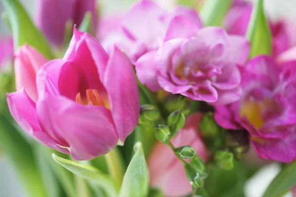 Vakre Bukett Med Rosa Tulipaner – stockfoto