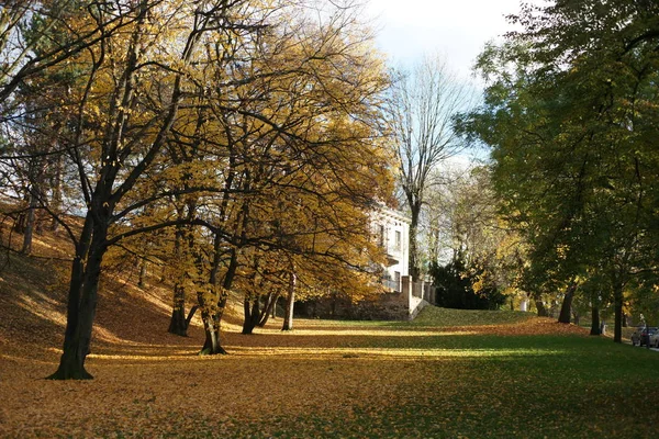 Piękny Jesienny Krajobraz Jesienne Drzewa Parku — Zdjęcie stockowe
