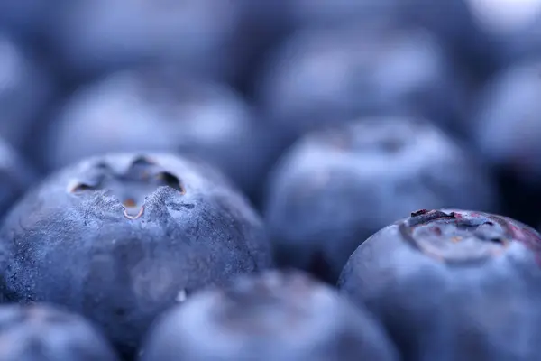 Macro View Raw Ripe Fresh Blueberries Background — 스톡 사진