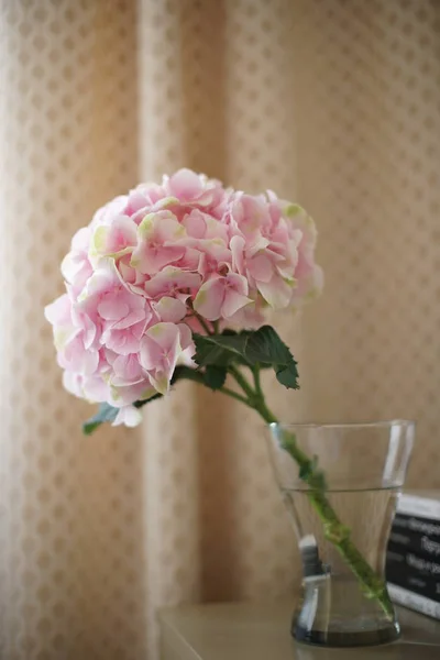 Розовые Гортензии Вазе — стоковое фото