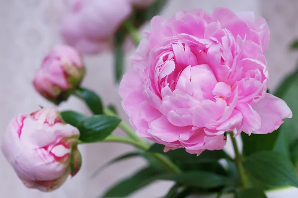 Букет Свежих Розовых Пионов — стоковое фото