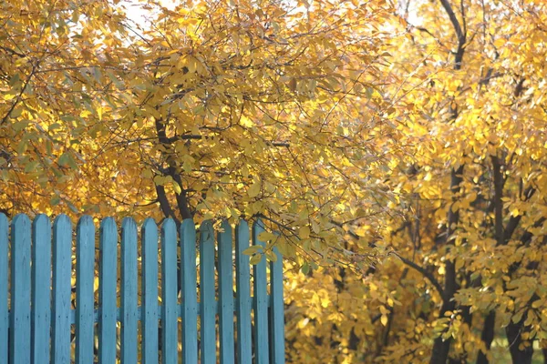 秋天公园或花园的旧木制栅栏 — 图库照片
