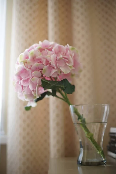 Розовые Гортензии Вазе — стоковое фото