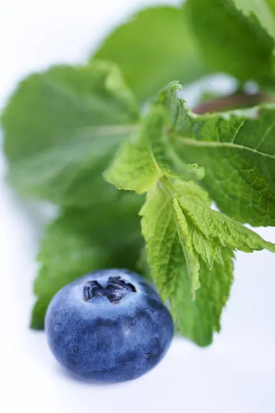 Sprigs Mint Blueberry Isolated White Background — 스톡 사진