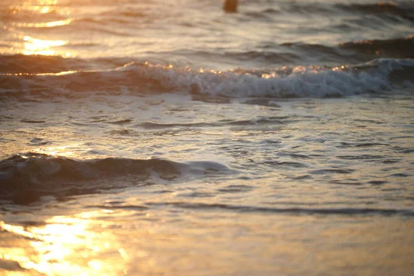 Vacker Utsikt Över Stranden Vid Solnedgången — Stockfoto