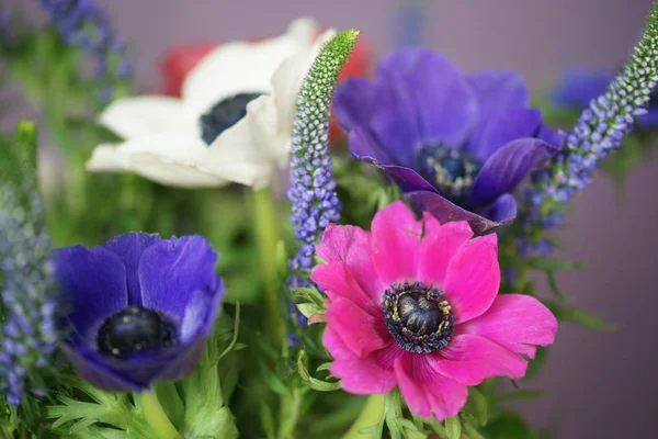 Bukiet Świeżych Jasnych Kwiatów — Zdjęcie stockowe