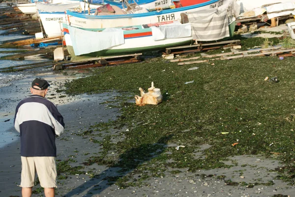 Vista Delle Barche Ormeggiate Spiaggia — Foto Stock