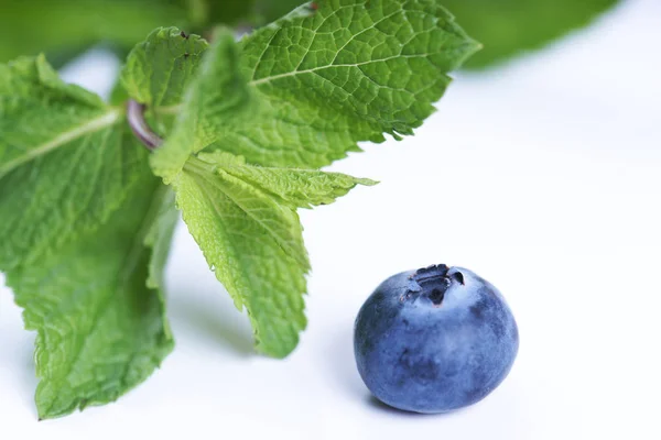 Sprigs Mint Blueberry Isolated White Background — 스톡 사진