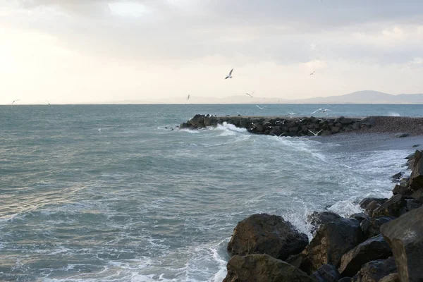 Wellen Der Küste Des Meeres Mit Pier Und Vögeln — Stockfoto