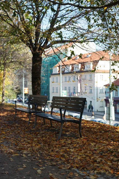 Straßen Von Prag Herbst 2013 Tschechische Republik — Stockfoto