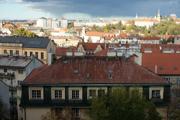 Prag Şehrinin Güzel Manzarası Kırmızı Çatılı Eski Evler Çek Cumhuriyeti — Stok fotoğraf