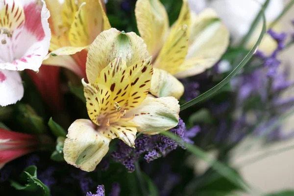 Hermoso Ramo Flores Coloridas — Foto de Stock