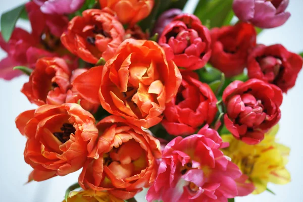Hermoso Ramo Tulipanes Colores Brillantes Jarrón — Foto de Stock
