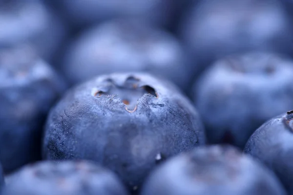 Makro Ansicht Von Reifen Und Frischen Blaubeeren Hintergrund — Stockfoto