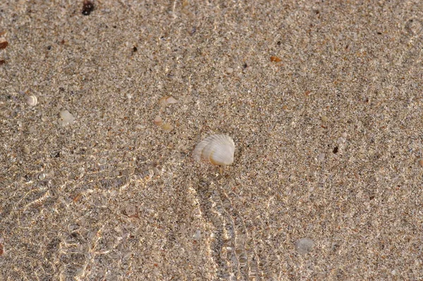Graue Sandstruktur Hintergrund Sand Nahtlose Textur Aus Sand Und Klarem — Stockfoto