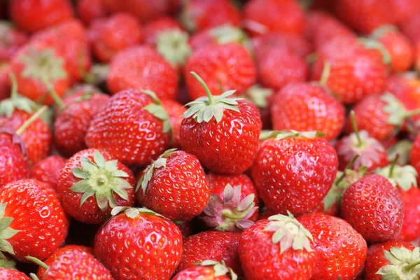 Montón Sabroso Jugo Maduro Fresas Rojas — Foto de Stock